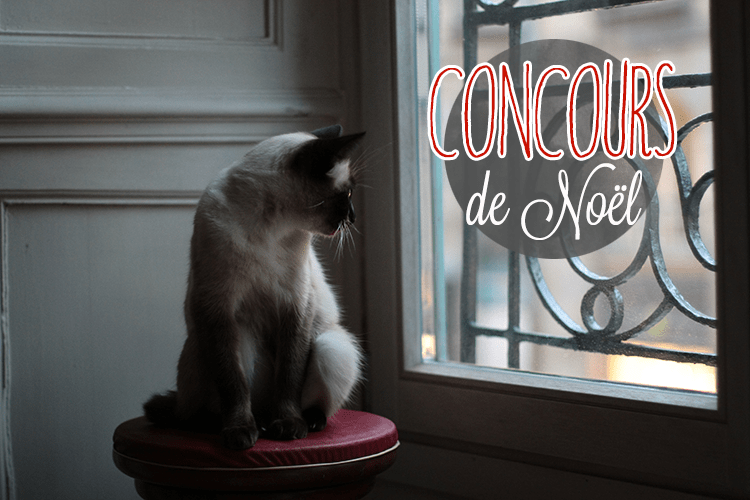 Concours de Noël #2