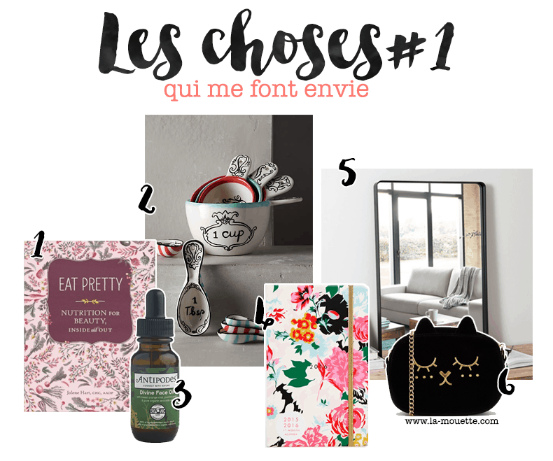 Wishlist – Les choses qui me font envie #1